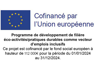 cofinancement union européenne FSE