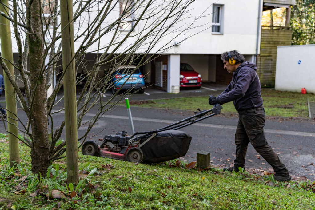 espaces verts items entretien hivernal public sarah mallier