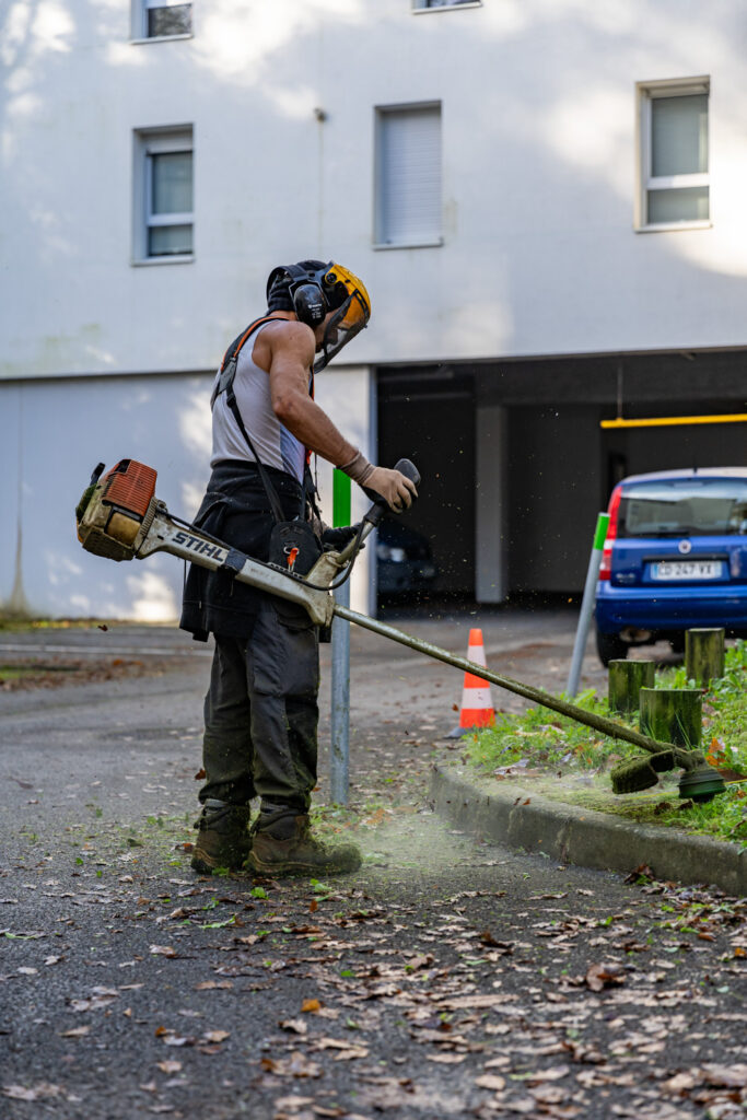 espaces verts items entretien hivernal public sarah mallier