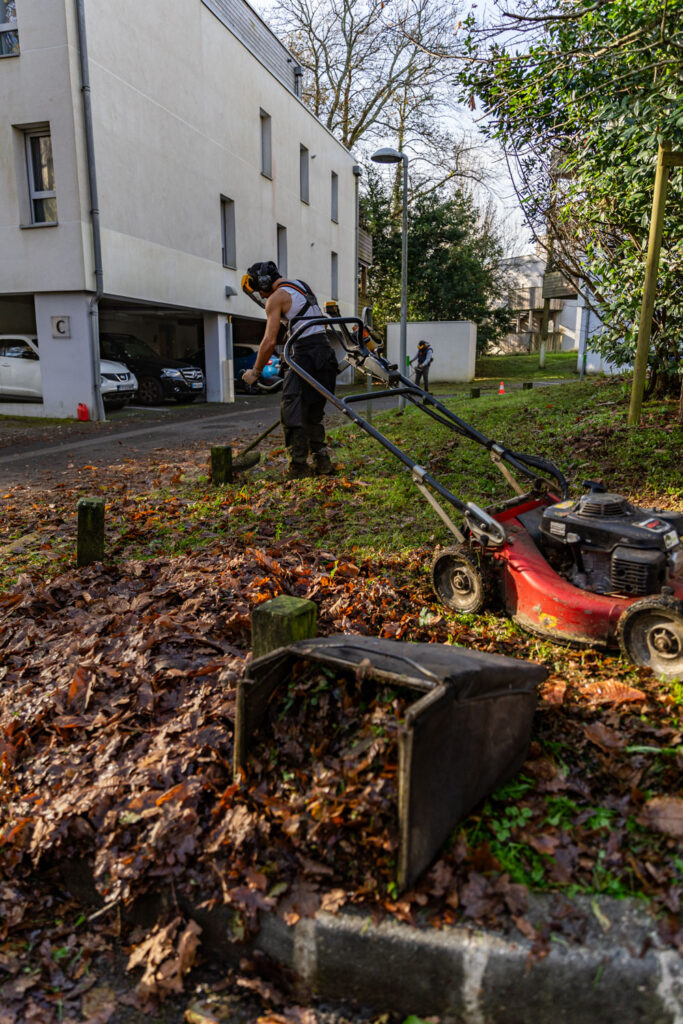 espaces verts items entretien hivernal public sarah mallier